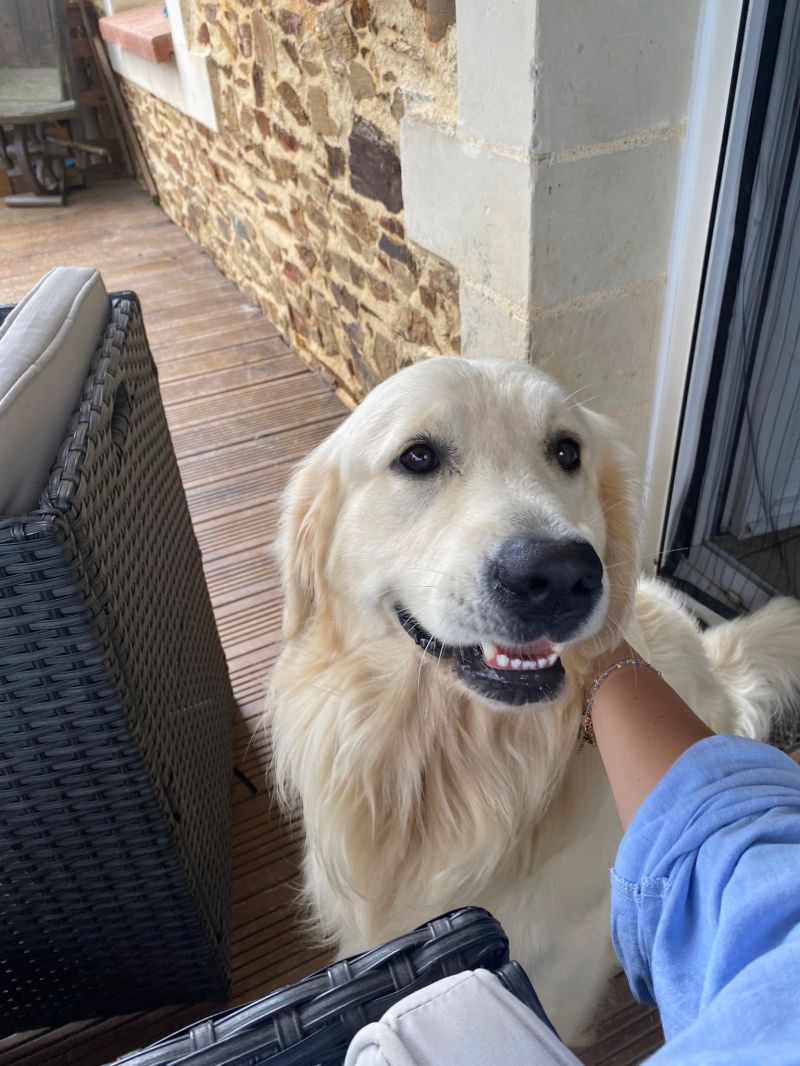 Ce biais cognitif m’a permis de loger gratuitement dans une maison avec piscine.