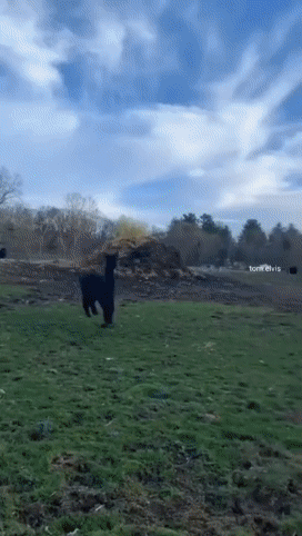 CA Y EST, c&rsquo;est le printemps !